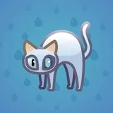 Scared Cat #9102 Scared Cat #9102