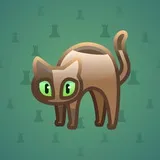 Scared Cat #9277 Scared Cat #9277