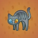 Scared Cat #9345 Scared Cat #9345