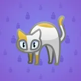 Scared Cat #9377