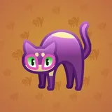 Scared Cat #9497 Scared Cat #9497