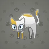 Scared Cat #9540 Scared Cat #9540