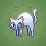 Scared Cat #9555 Scared Cat #9555