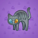 Scared Cat #9629 Scared Cat #9629
