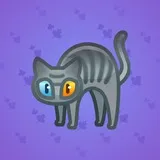 Scared Cat #9630 Scared Cat #9630
