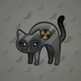 Scared Cat #9810 Scared Cat #9810