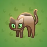 Scared Cat #9817 Scared Cat #9817