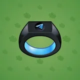 Signet Ring #1017 Signet Ring #1017