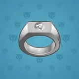 Signet Ring #1111 Signet Ring #1111