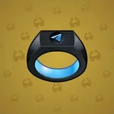 Signet Ring #1201 Signet Ring #1201