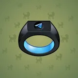 Signet Ring #1213 Signet Ring #1213