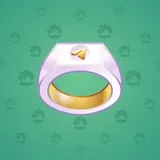 Signet Ring #134 Signet Ring #134