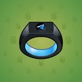 Signet Ring #1380 Signet Ring #1380