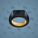 Signet Ring #1656 Signet Ring #1656