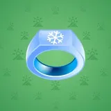 Signet Ring #1693 Signet Ring #1693
