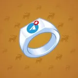 Signet Ring #2025 Signet Ring #2025