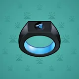 Signet Ring #2282 Signet Ring #2282