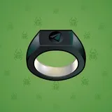 Signet Ring #2389