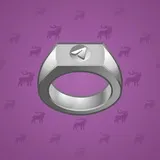 Signet Ring #2476 Signet Ring #2476