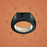 Signet Ring #2670