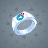 Signet Ring #2716