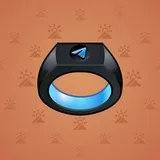 Signet Ring #2758 Signet Ring #2758