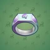 Signet Ring #2820