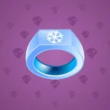 Signet Ring #2899 Signet Ring #2899