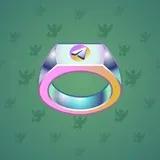 Signet Ring #34 Signet Ring #34