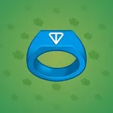 Signet Ring #363 Signet Ring #363