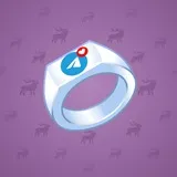 Signet Ring #3801 Signet Ring #3801