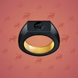 Signet Ring #3844 Signet Ring #3844