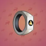 Signet Ring #412 Signet Ring #412