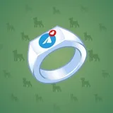 Signet Ring #416