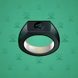 Signet Ring #432 Signet Ring #432