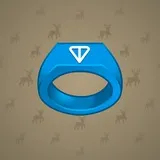 Signet Ring #4342 Signet Ring #4342