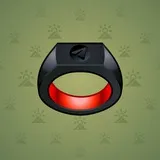 Signet Ring #4489 Signet Ring #4489