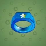 Signet Ring #4543