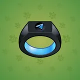 Signet Ring #4671 Signet Ring #4671