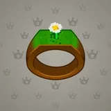 Signet Ring #4795 Signet Ring #4795