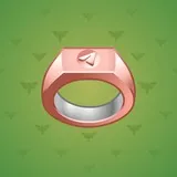 Signet Ring #481 Signet Ring #481
