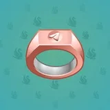 Signet Ring #505 Signet Ring #505