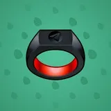 Signet Ring #511 Signet Ring #511
