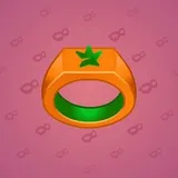 Signet Ring #5205 Signet Ring #5205