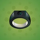 Signet Ring #5489