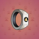 Signet Ring #569 Signet Ring #569