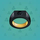Signet Ring #6406 Signet Ring #6406