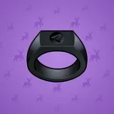 Signet Ring #6645