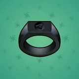 Signet Ring #6989 Signet Ring #6989