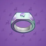 Signet Ring #704 Signet Ring #704